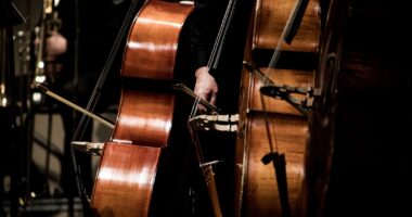 Photo Musician performing